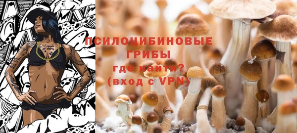 MESCALINE Михайлов