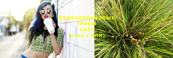 герыч Михайловск