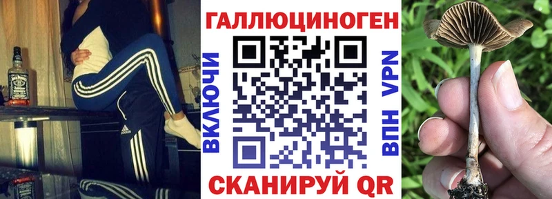 Купить где  Собинка  Псилоцибиновые грибы мухоморы 