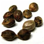 Семена марихуаны АК-47  (Seeds AK-47) в Собинке